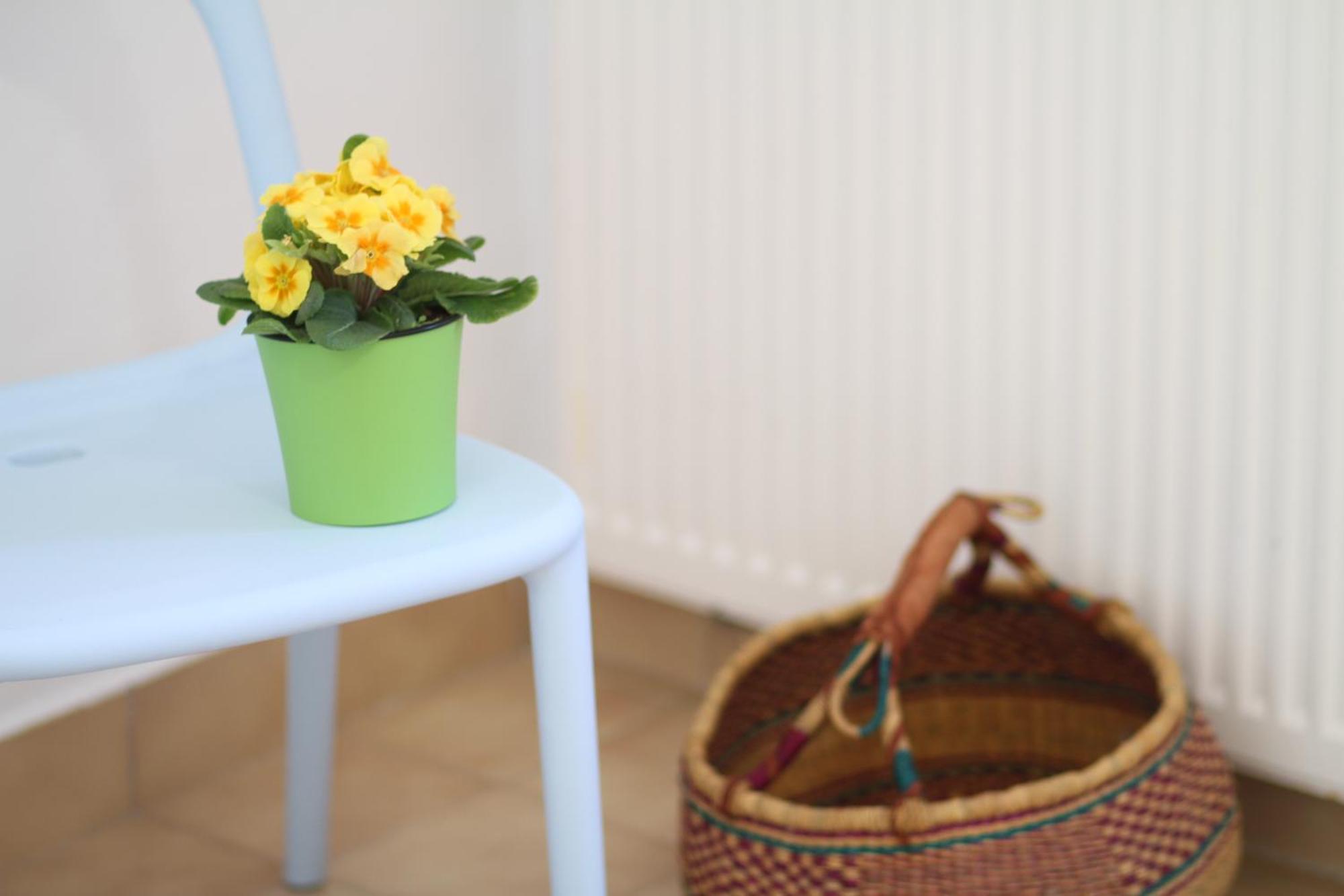 Apartament - Compartir Cadaques Bagian luar foto